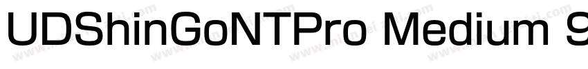 UDShinGoNTPro Medium 9字体转换